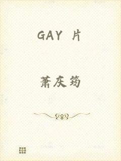 GAY 片